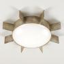 CL0015.DS потолочный светильник Biscay Flush Ceiling Light