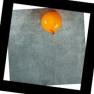 5055C/M orange 5055 Loft IT, Потолочный светильник